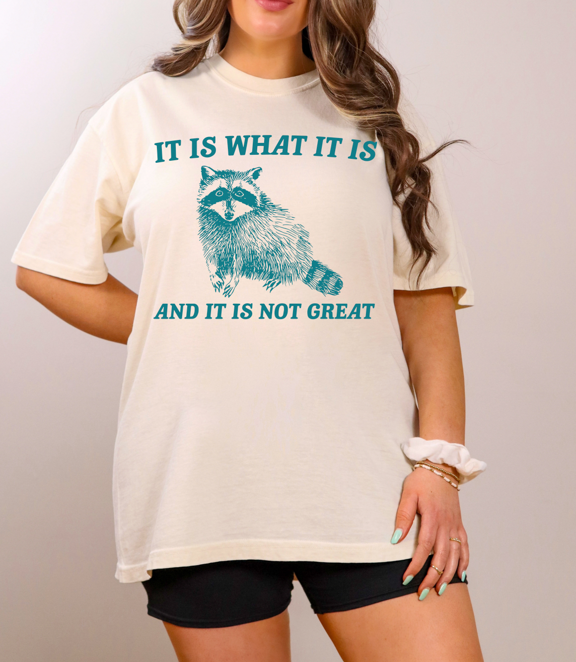 It Is What It Is And It Aint Great Tee